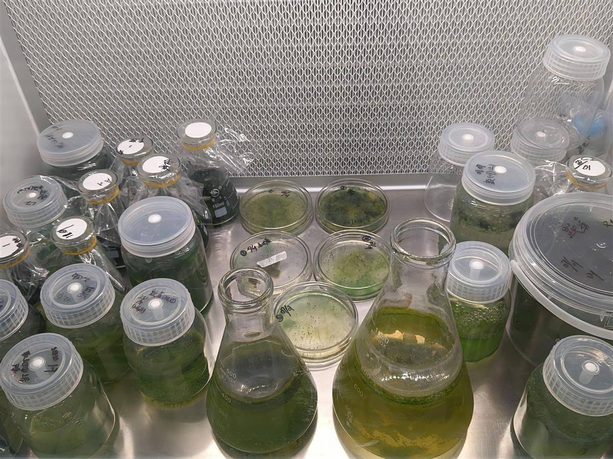 实验室样品.JPG 实验室样品.JPG