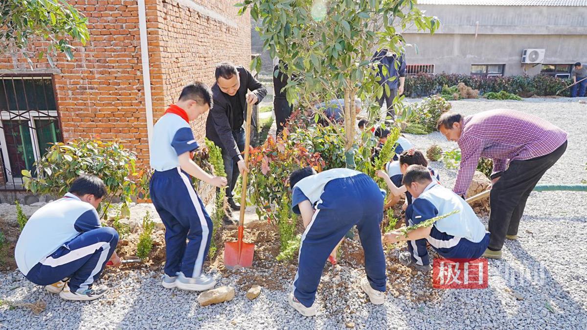 图片3.png 图片3.png